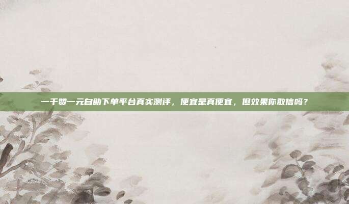 一千赞一元自助下单平台真实测评，便宜是真便宜，但效果你敢信吗？