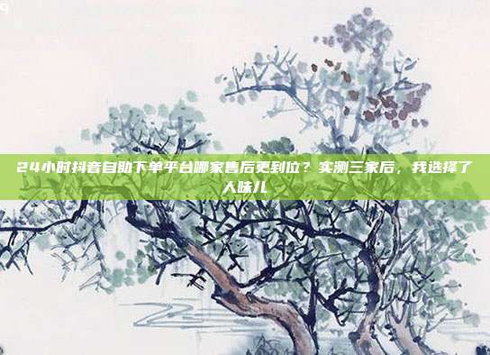 24小时抖音自助下单平台哪家售后更到位?实测三家后,我选择了人味儿