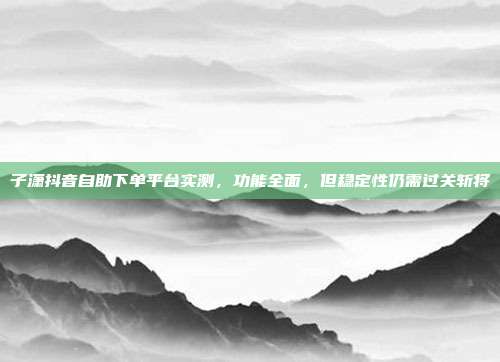 子潇抖音自助下单平台实测,功能全面,但稳定性仍需过关斩将