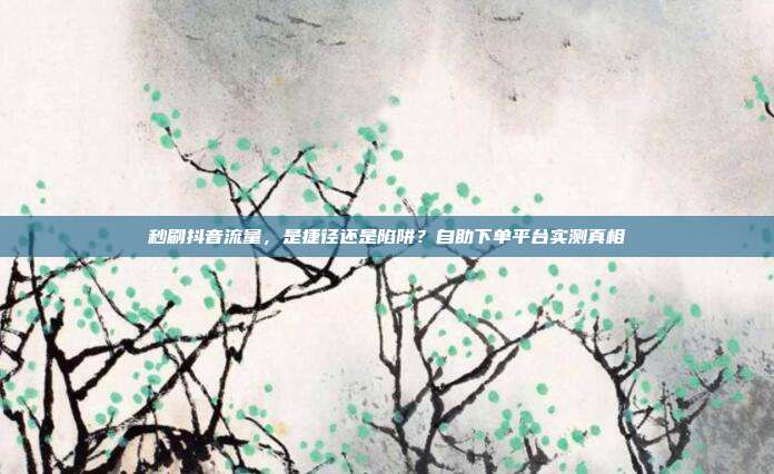秒刷抖音流量,是捷径还是陷阱?自助下单平台实测真相
