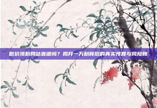 低价涨粉网站靠谱吗?揭开一万粉背后的真实预算与风险账
