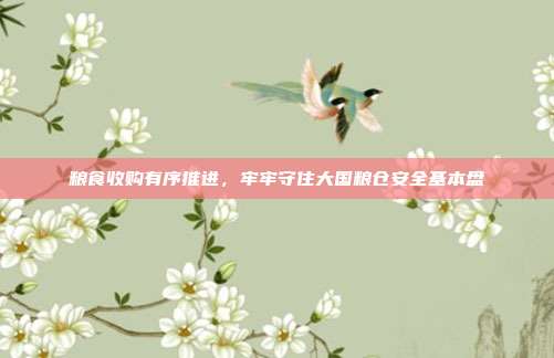 粮食收购有序推进，牢牢守住大国粮仓安全基本盘