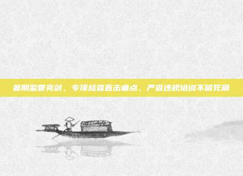 暑期监管亮剑，专项检查直击痛点，严查违规培训不留死角