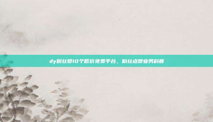 dy粉丝赞10个低价免费平台，粉丝点赞业务科普