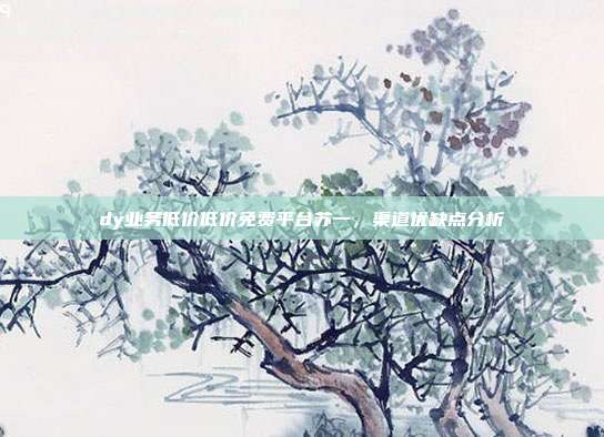 dy业务低价低价免费平台苏一,渠道优缺点分析