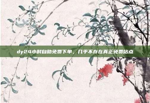 dy24小时自助免费下单，几乎不存在真正免费站点
