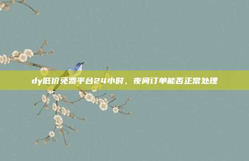 dy低价免费平台24小时，夜间订单能否正常处理