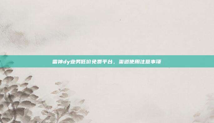 雷神dy业务低价免费平台，渠道使用注意事项