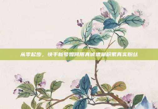从零起步,快手新号如何用真诚增量积累真实粉丝