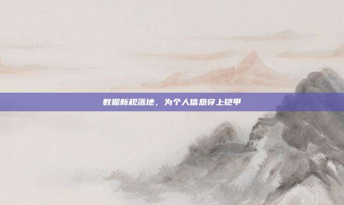 数据新规落地,为个人信息穿上铠甲