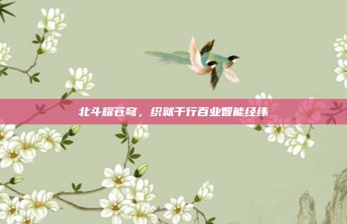 北斗耀苍穹,织就千行百业智能经纬