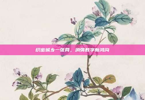 织密城乡一张网，消弭数字新鸿沟