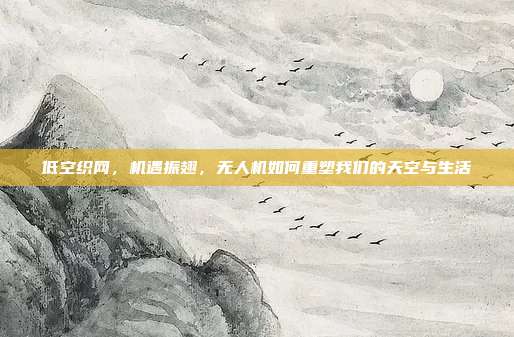 低空织网,机遇振翅,无人机如何重塑我们的天空与生活