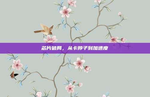 芯片破局,从卡脖子到加速度