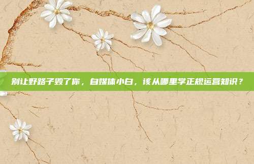 别让野路子毁了你，自媒体小白，该从哪里学正规运营知识？