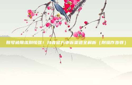 账号被限流别慌张!抖音官方申诉渠道全解析(附操作步骤)