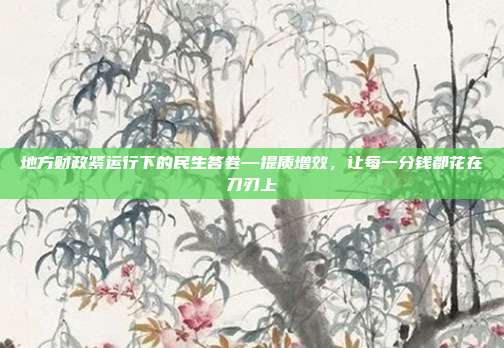 地方财政紧运行下的民生答卷—提质增效,让每一分钱都花在刀刃上