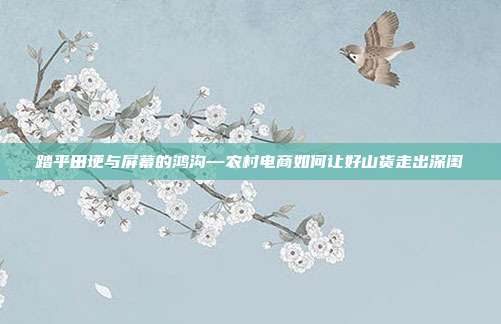 踏平田埂与屏幕的鸿沟—农村电商如何让好山货走出深闺