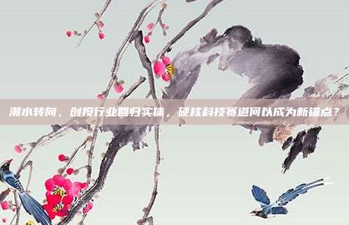 潮水转向,创投行业回归实体,硬核科技赛道何以成为新锚点?