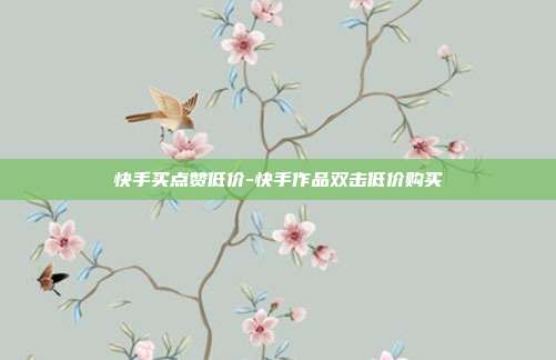 快手买点赞低价-快手作品双击低价购买
