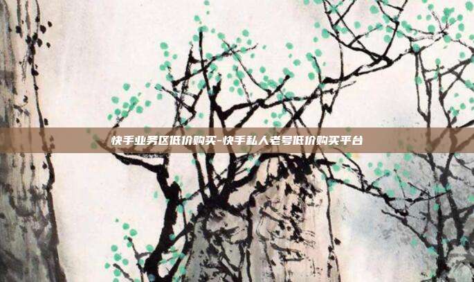 快手业务区低价购买-快手私人老号低价购买平台