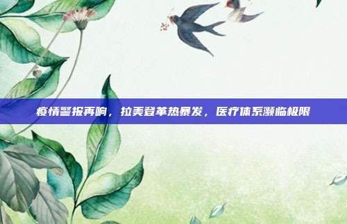 疫情警报再响，拉美登革热暴发，医疗体系濒临极限
