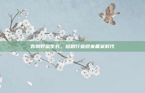告别野蛮生长,短剧行业迎来备案时代