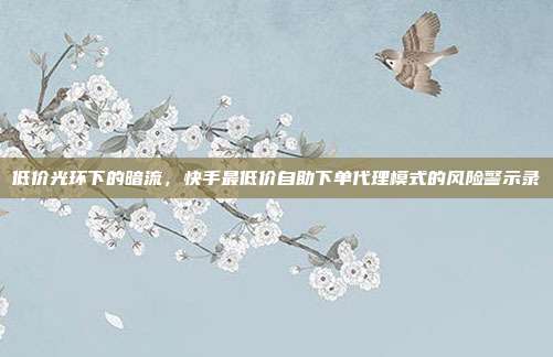 低价光环下的暗流,快手最低价自助下单代理模式的风险警示录
