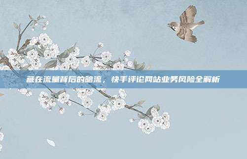 藏在流量背后的暗流，快手评论网站业务风险全解析
