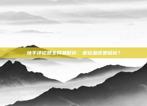 快手评论赞全网最低价，是捡漏还是踩坑？