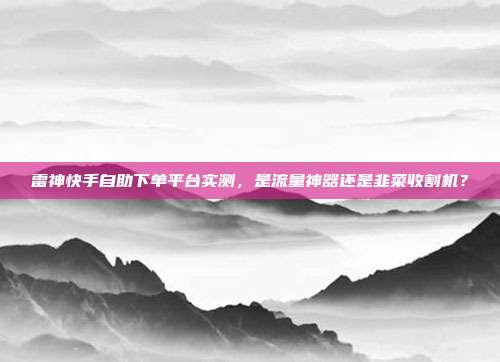 雷神快手自助下单平台实测，是流量神器还是韭菜收割机？