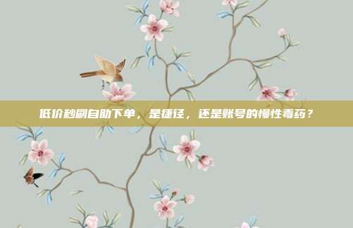低价秒刷自助下单,是捷径,还是账号的慢性毒药?