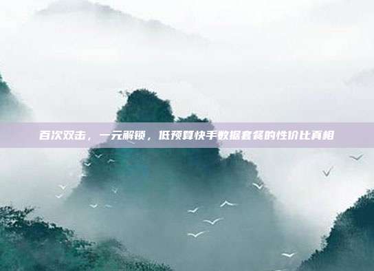 百次双击,一元解锁,低预算快手数据套餐的性价比真相