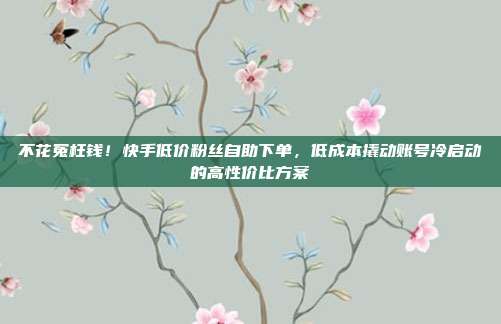 不花冤枉钱!快手低价粉丝自助下单,低成本撬动账号冷启动的高性价比方案