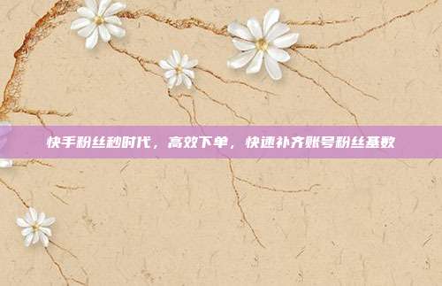 快手粉丝秒时代，高效下单，快速补齐账号粉丝基数