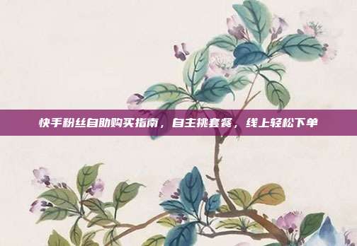 快手粉丝自助购买指南，自主挑套餐，线上轻松下单