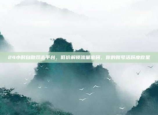 24小时自助双击平台,低价解锁流量密码,你的账号活跃度救星