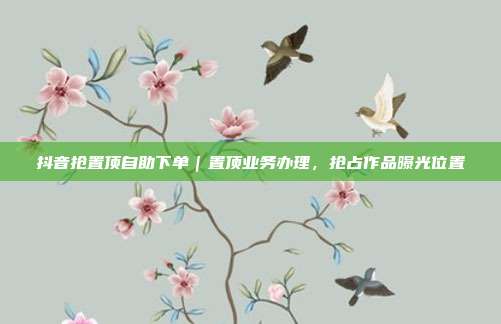 抖音抢置顶自助下单|置顶业务办理,抢占作品曝光位置