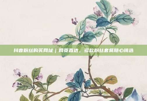 抖音粉丝购买网址|网页直达,多款粉丝套餐随心挑选