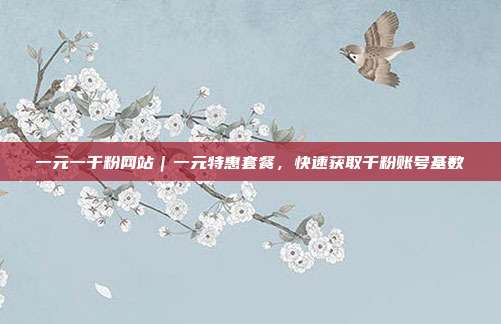 一元一千粉网站｜一元特惠套餐，快速获取千粉账号基数