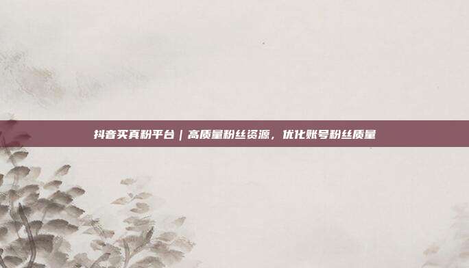 抖音买真粉平台|高质量粉丝资源,优化账号粉丝质量
