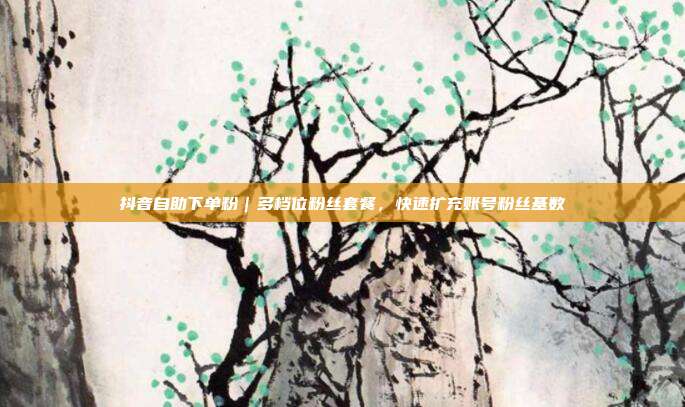 抖音自助下单粉｜多档位粉丝套餐，快速扩充账号粉丝基数