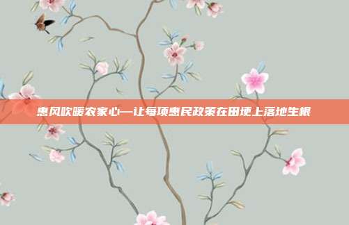 惠风吹暖农家心—让每项惠民政策在田埂上落地生根