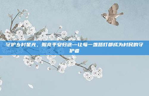 守护乡村星光，照亮平安归途—让每一盏路灯都成为村民的守护者