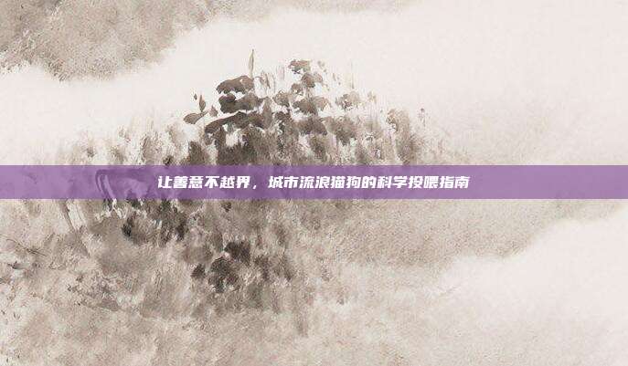 让善意不越界，城市流浪猫狗的科学投喂指南