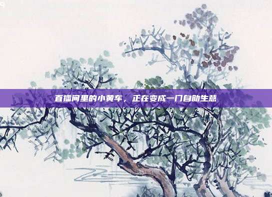 直播间里的小黄车,正在变成一门自助生意