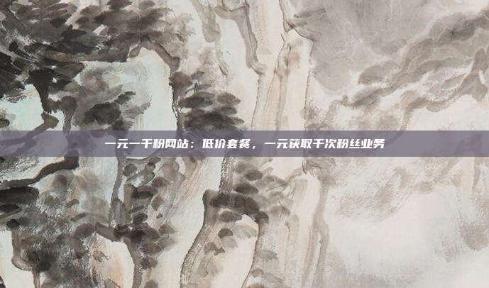 一元一千粉网站:低价套餐,一元获取千次粉丝业务