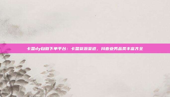 卡盟dy自助下单平台：卡盟货源渠道，抖音业务品类丰富齐全