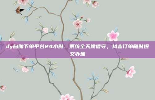 dy自助下单平台24小时：系统全天候值守，抖音订单随时提交办理