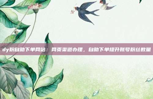 dy粉自助下单网站：网页渠道办理，自助下单提升账号粉丝数量